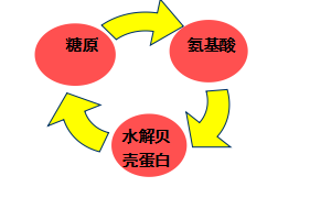 当前图片注释