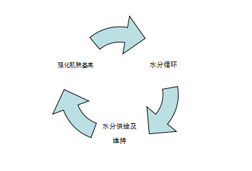 当前图片注释